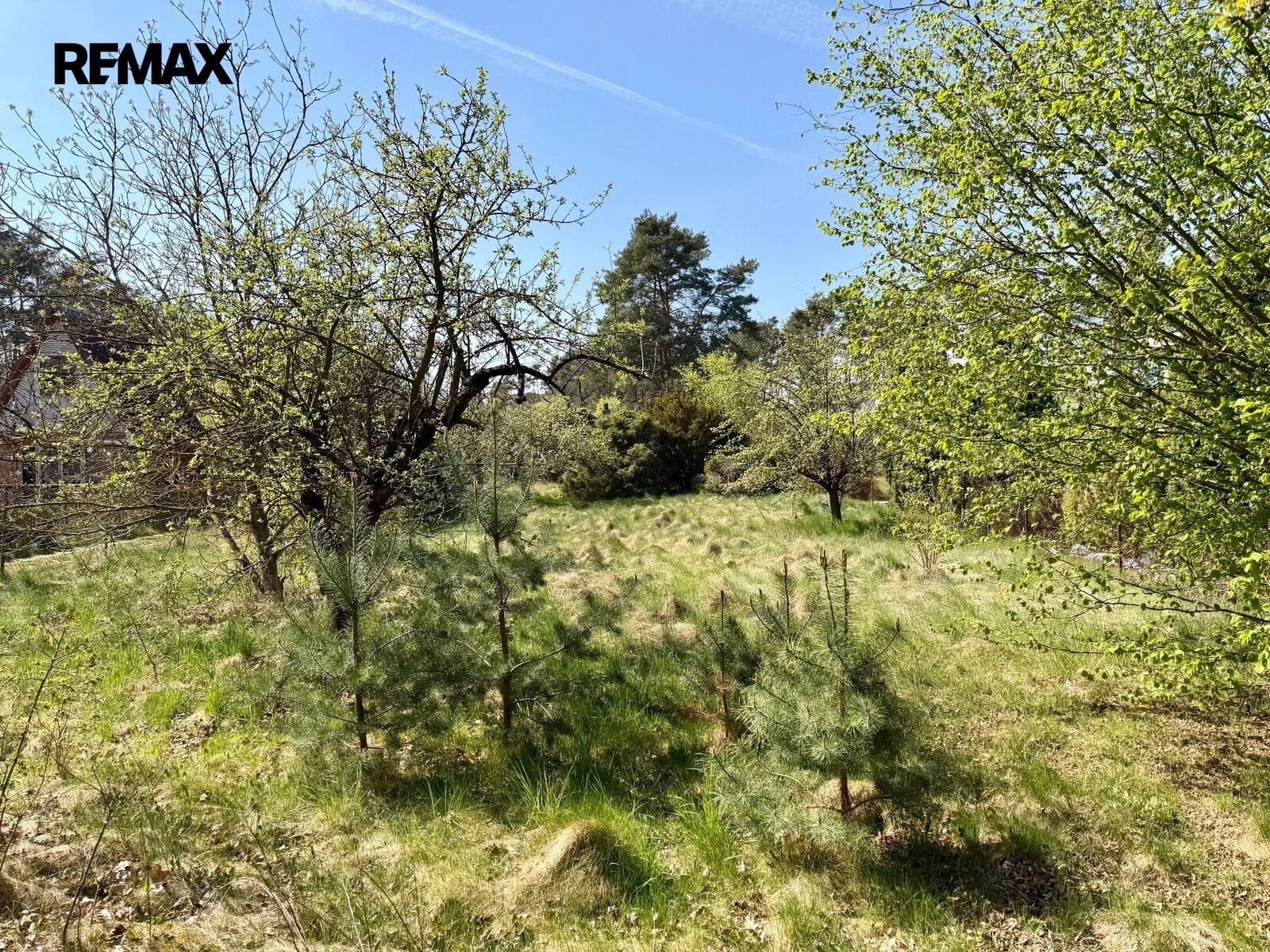 Prodej pozemek pro bydlení - Hradištko, 2 196 m² - 5