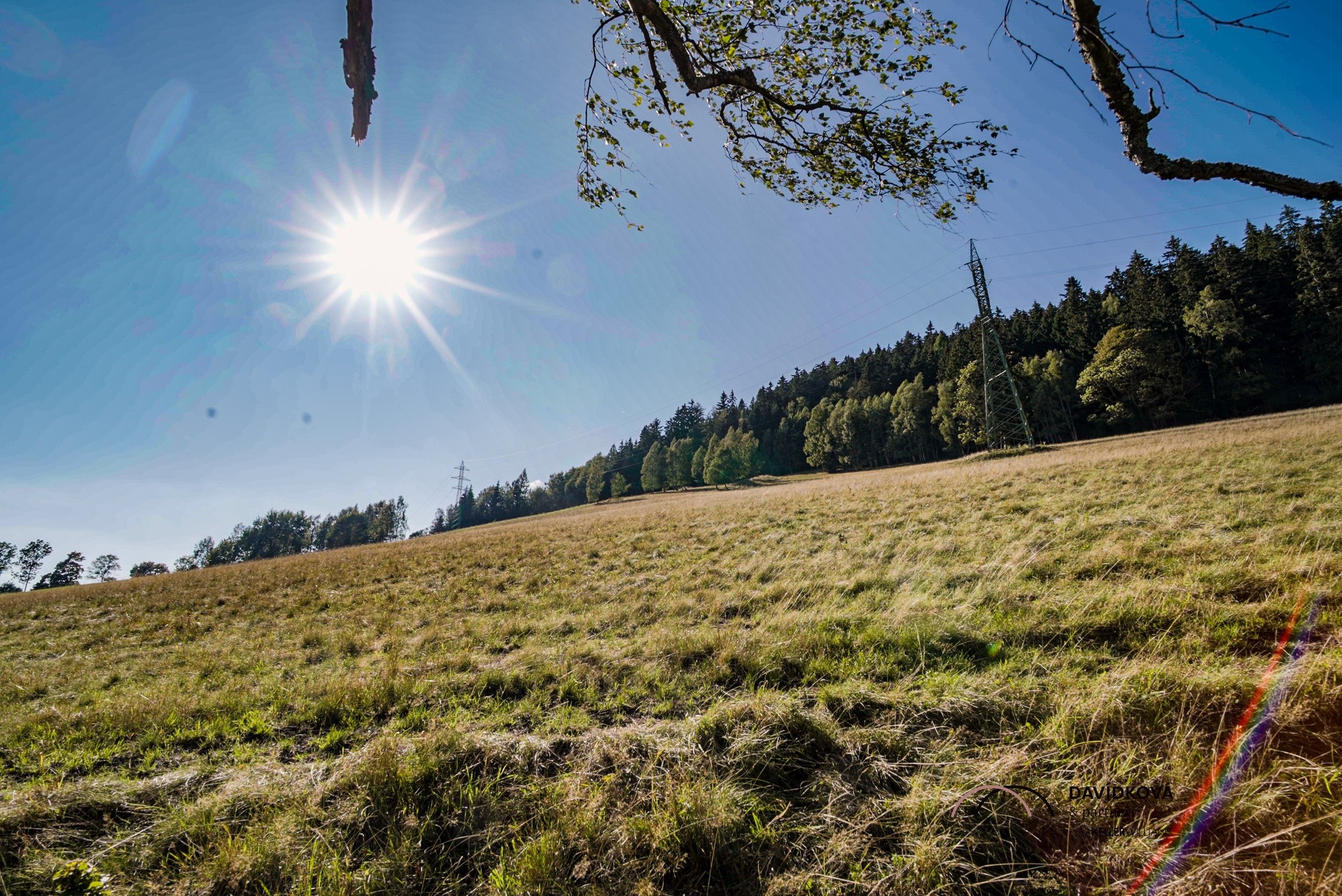 Pozemek pro bydlení · 753 m² · Lysečinská  , Horní Maršov - 3