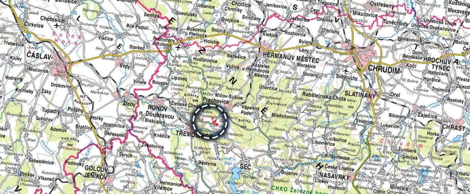 Prodej louka - Třemošnice - 5