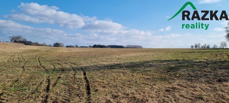 Prodej zemědělský pozemek - Ctiboř