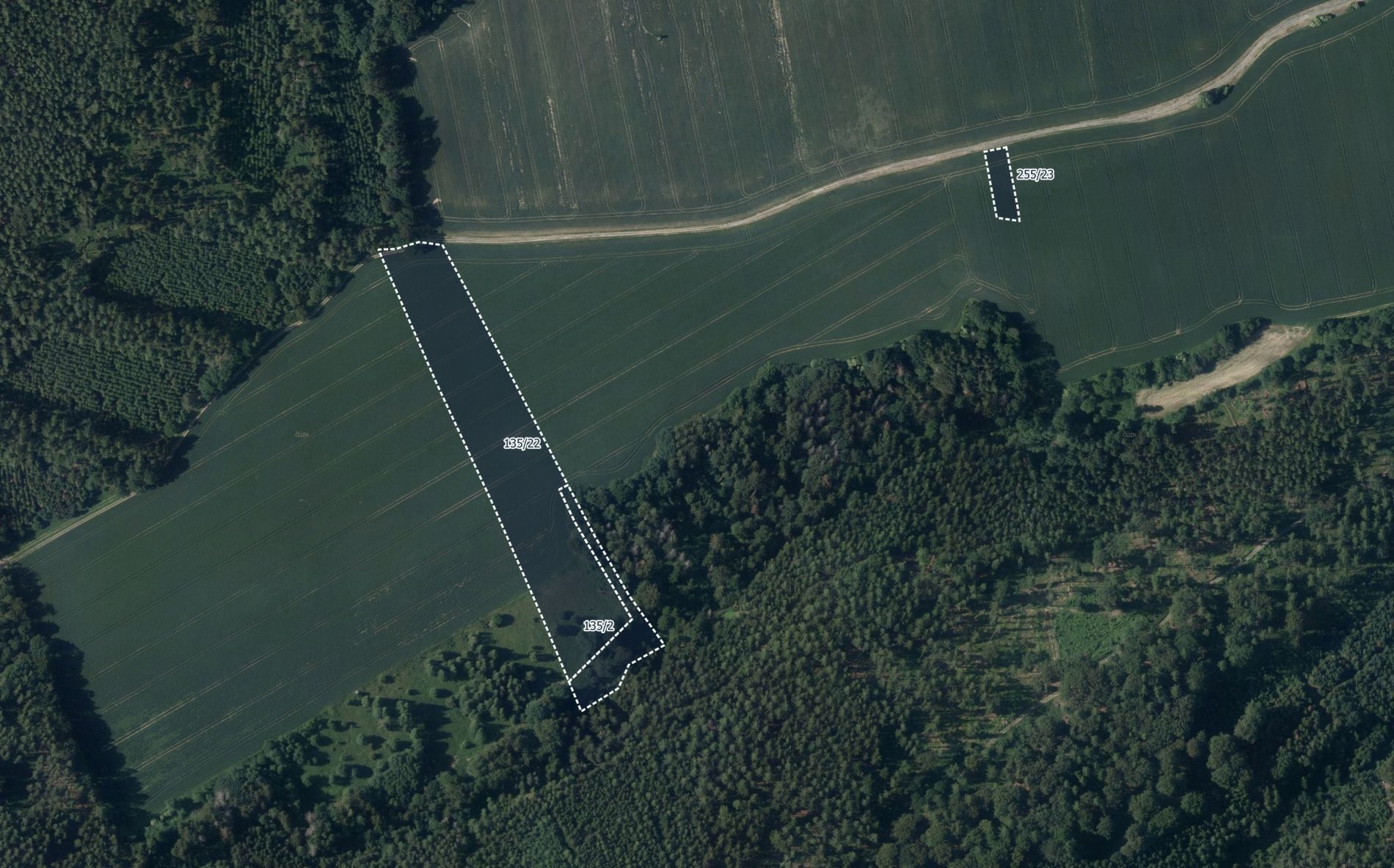 Prodej zemědělský pozemek - Pateřín, Bílá Lhota