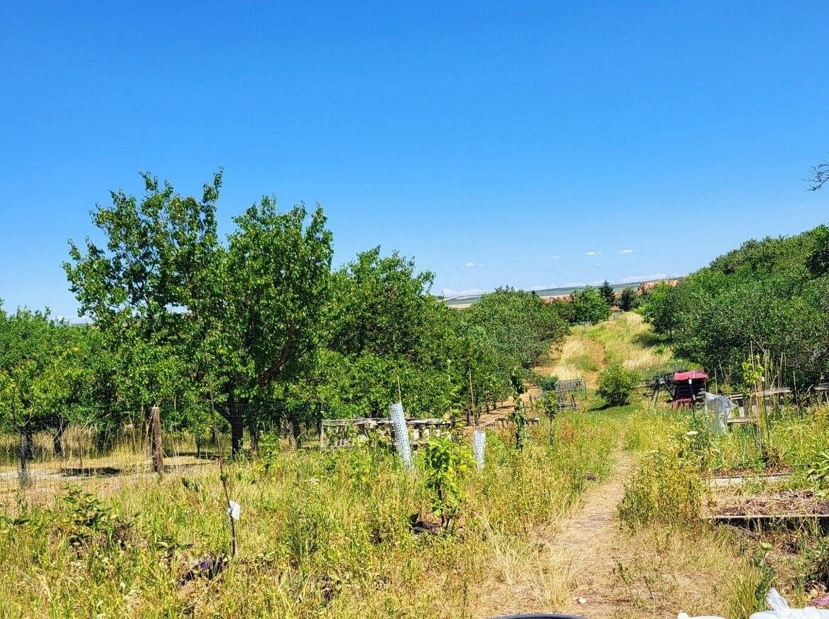 Pozemky pro bydlení, Velké Pavlovice, 691 06