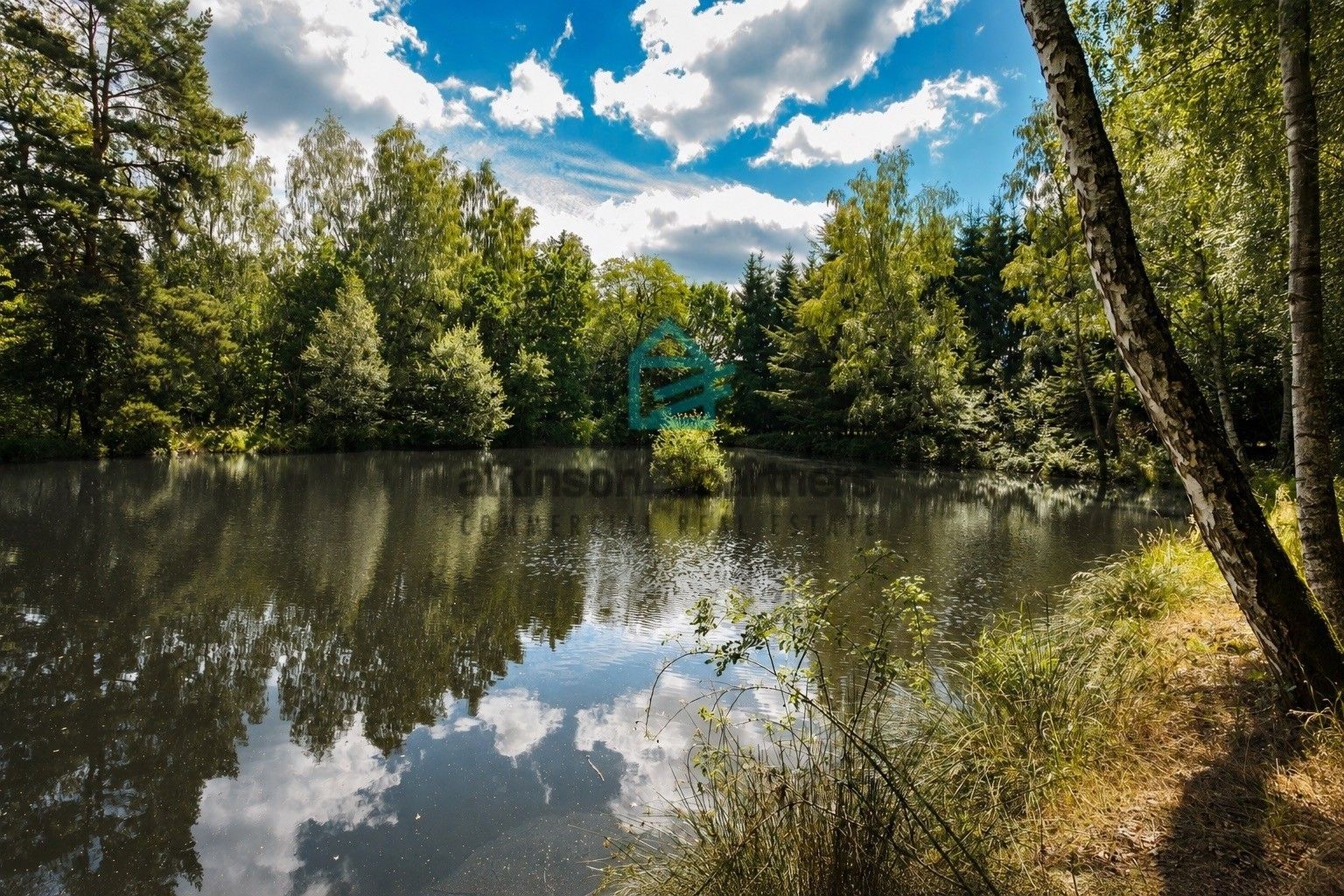 Pozemek · 6 805 m² · Klení, Benešov nad Černou - 4