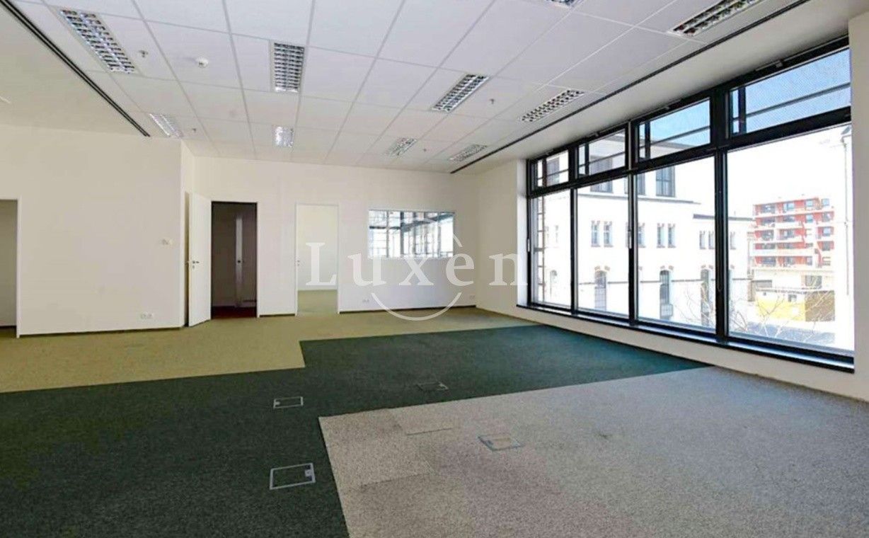 Kancelář · 241 m² · U průhonu, Praha Holešovice - 4