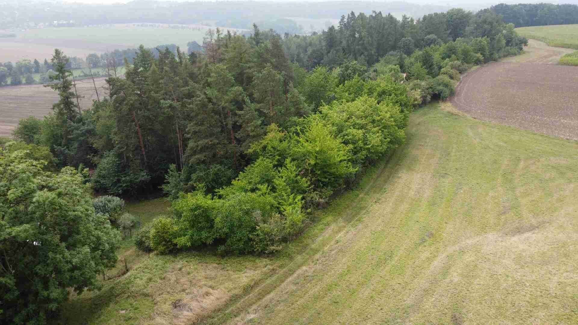 Prodej pozemek - Skuteč, 864 m²