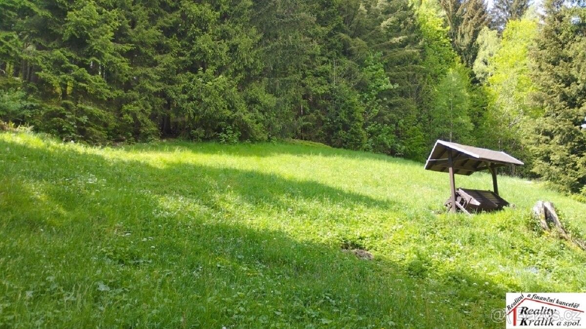 Lesy, Tanvald, 468 41, 7 310 m²