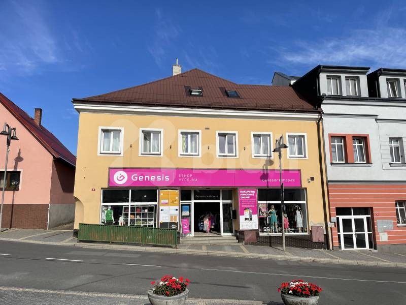 1+kk, Poděbradovo náměstí, Hlinsko, 20 m² - 1