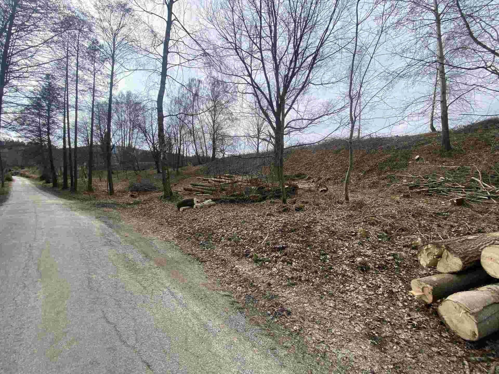 Prodej pozemek pro bydlení - Horní Stropnice Šejby, 1 757 m² - 2