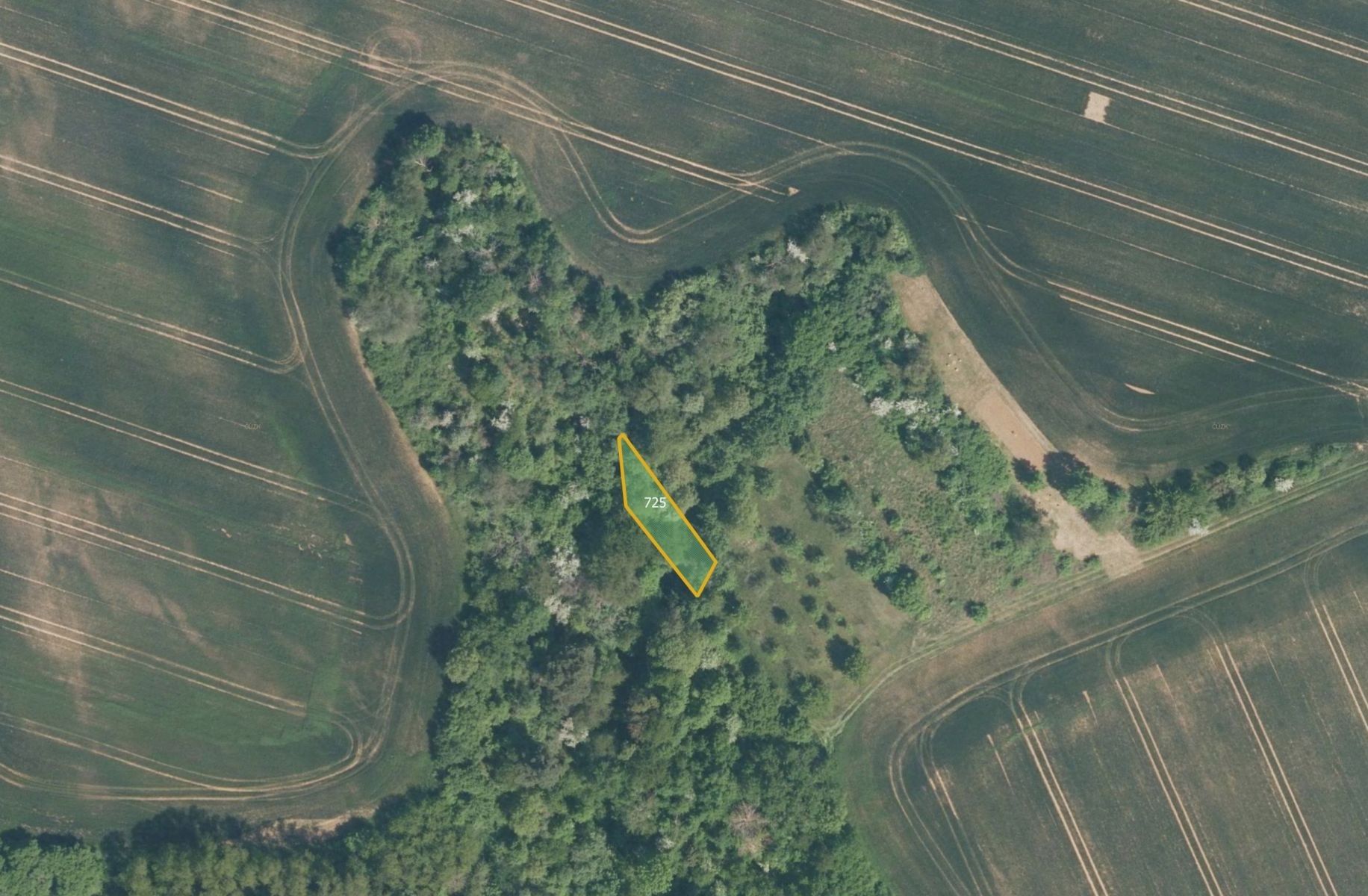 Prodej zemědělský pozemek - Jalubí