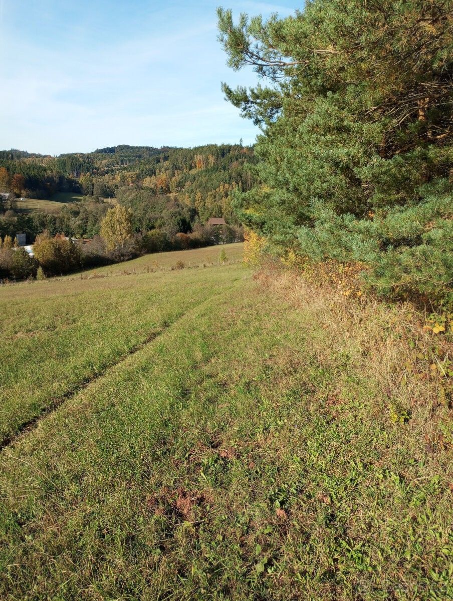 Pozemky pro bydlení, Pecka, 507 82