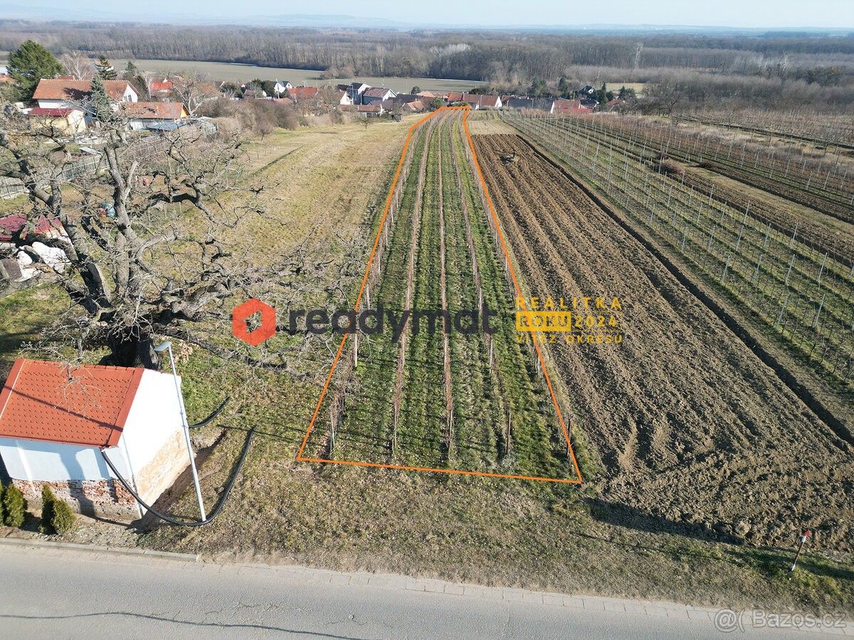 Pozemky pro bydlení, Týnec u Břeclavě, 691 54