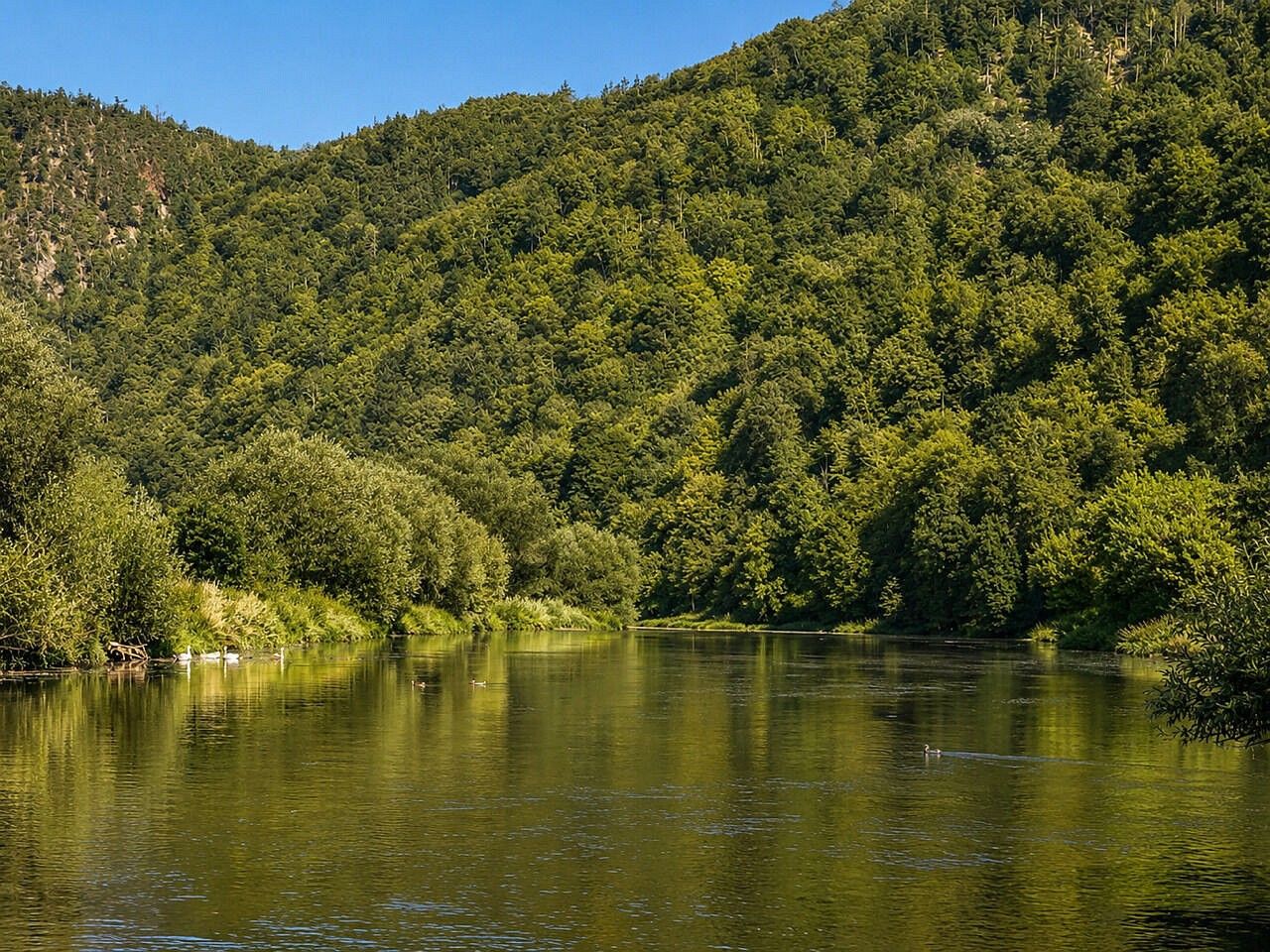 Chalupa · 43 m² · Kladruby - Hřešihlavy, okres Rokycany, Plzeňský kraj - 4