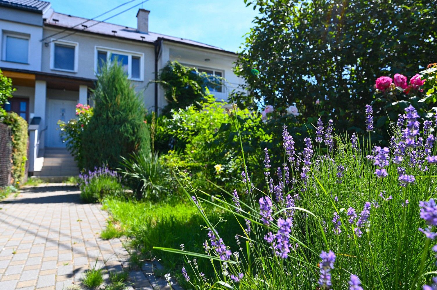 Rodinné domy, Darwinova, Olomouc - Svatý Kopeček, 226 m² - 2