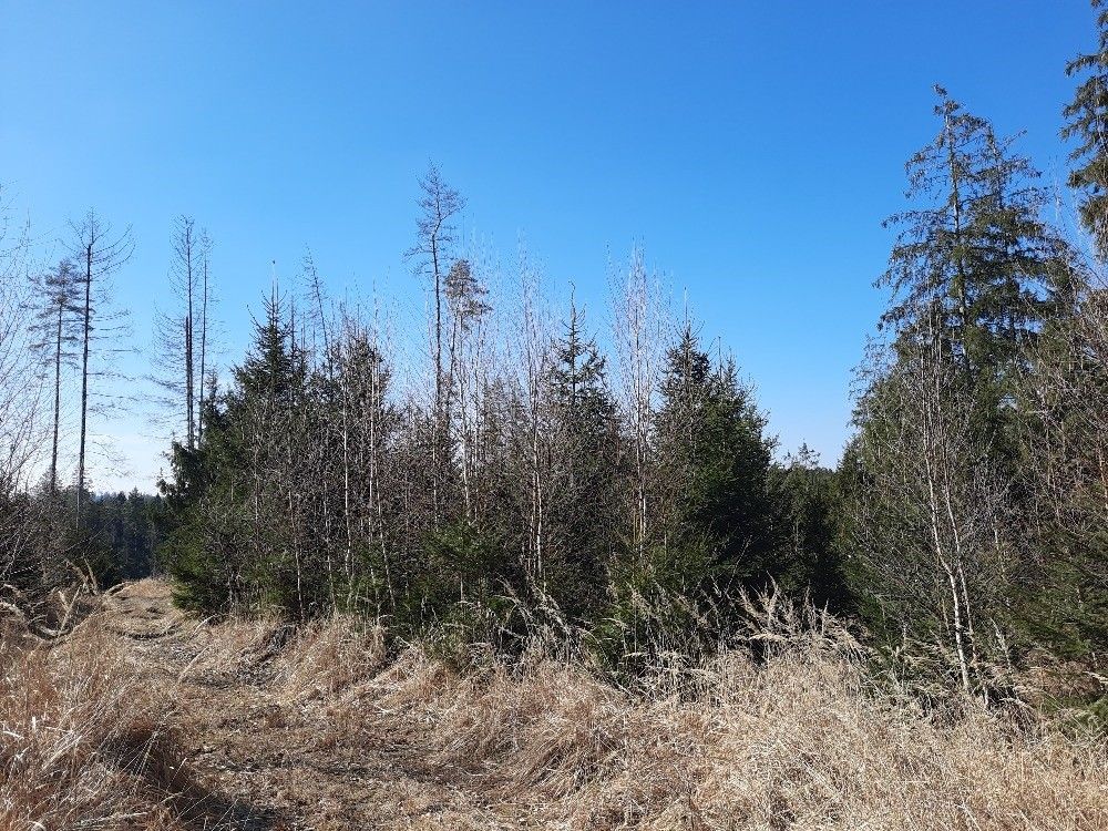 Prodej ostatní - Těmice u Kamenice nad Lipou, 394 96 - 5