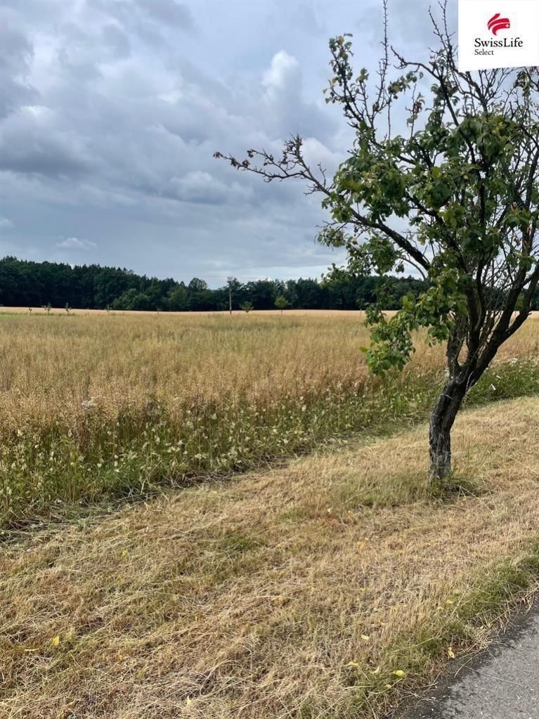 Pozemky pro bydlení, Kostelec nad Orlicí, 517 41