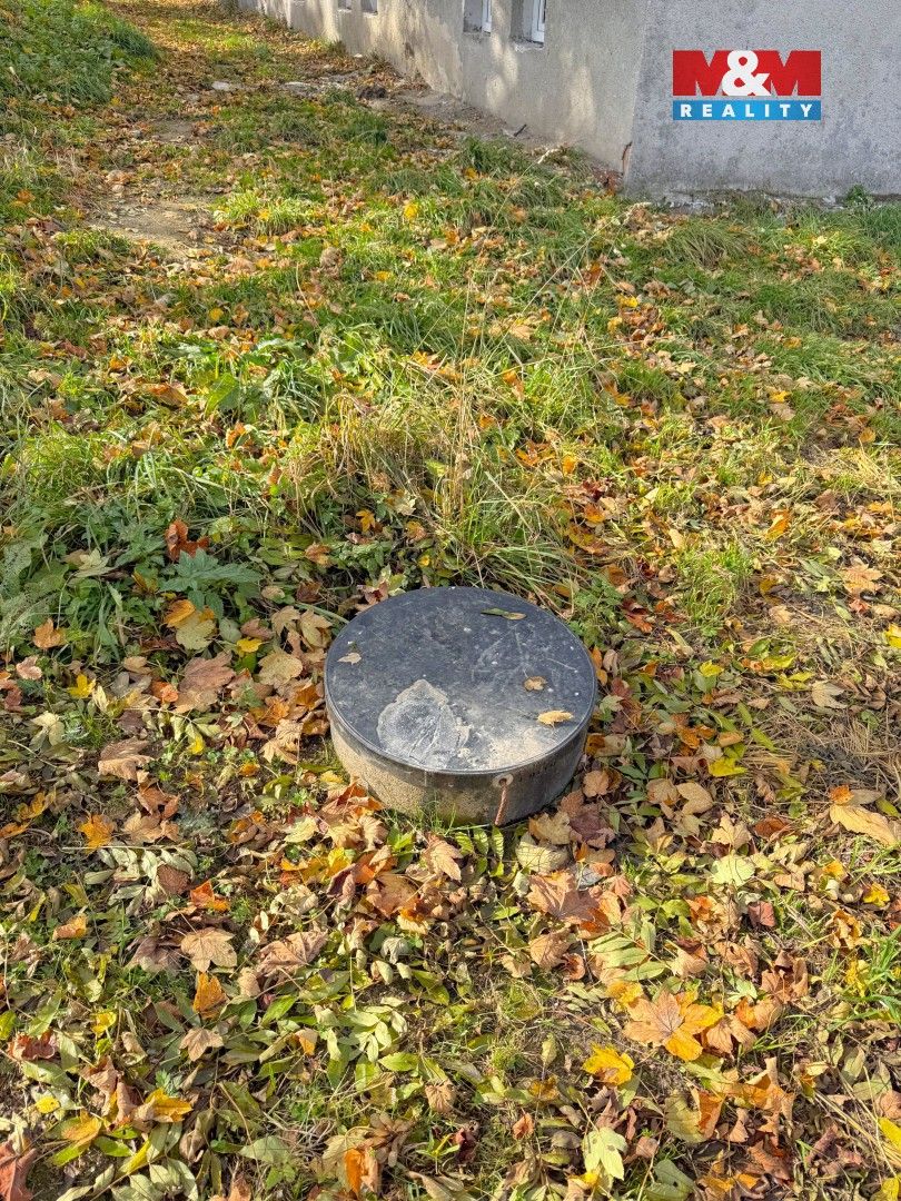 Prodej byt 3+1 - Ostrý, Jistebnice, 64 m²