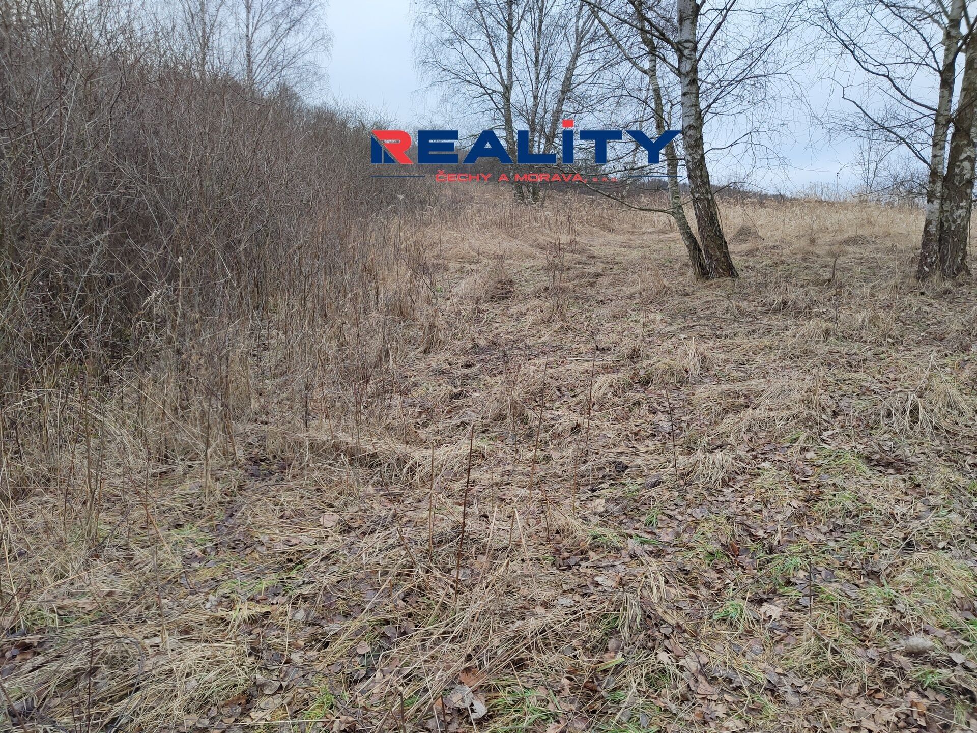 Prodej zemědělský pozemek - Gruna, 4 m²