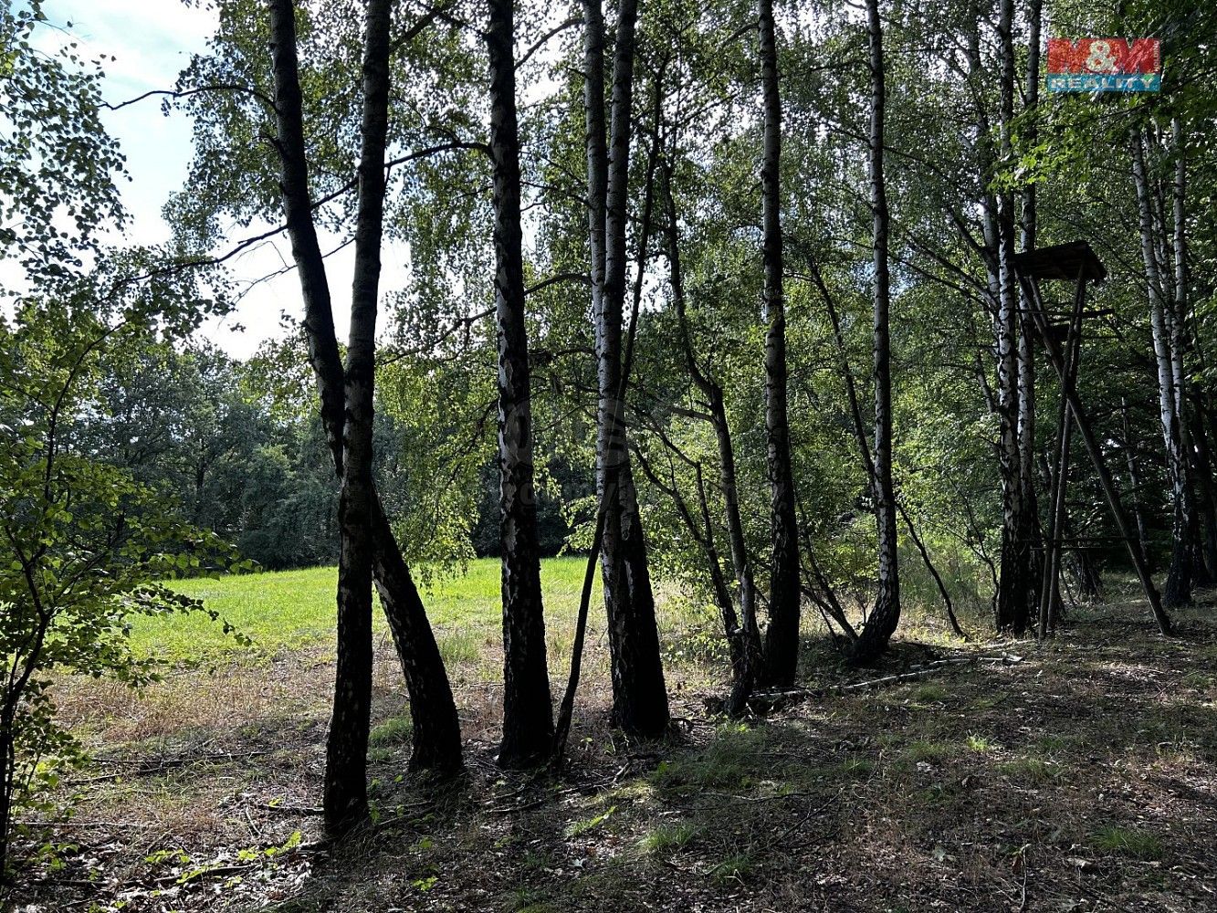 Prodej louka - Petrovice u Karviné - Prstná, okres Karviná, Moravskoslezský kraj - 5