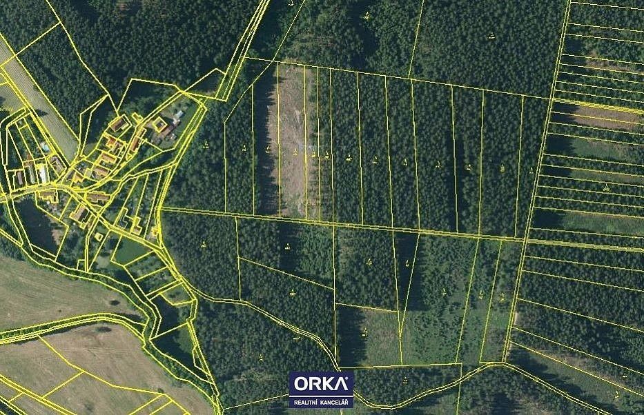 Les · Budětsko, okres Prostějov, Olomoucký kraj - 4