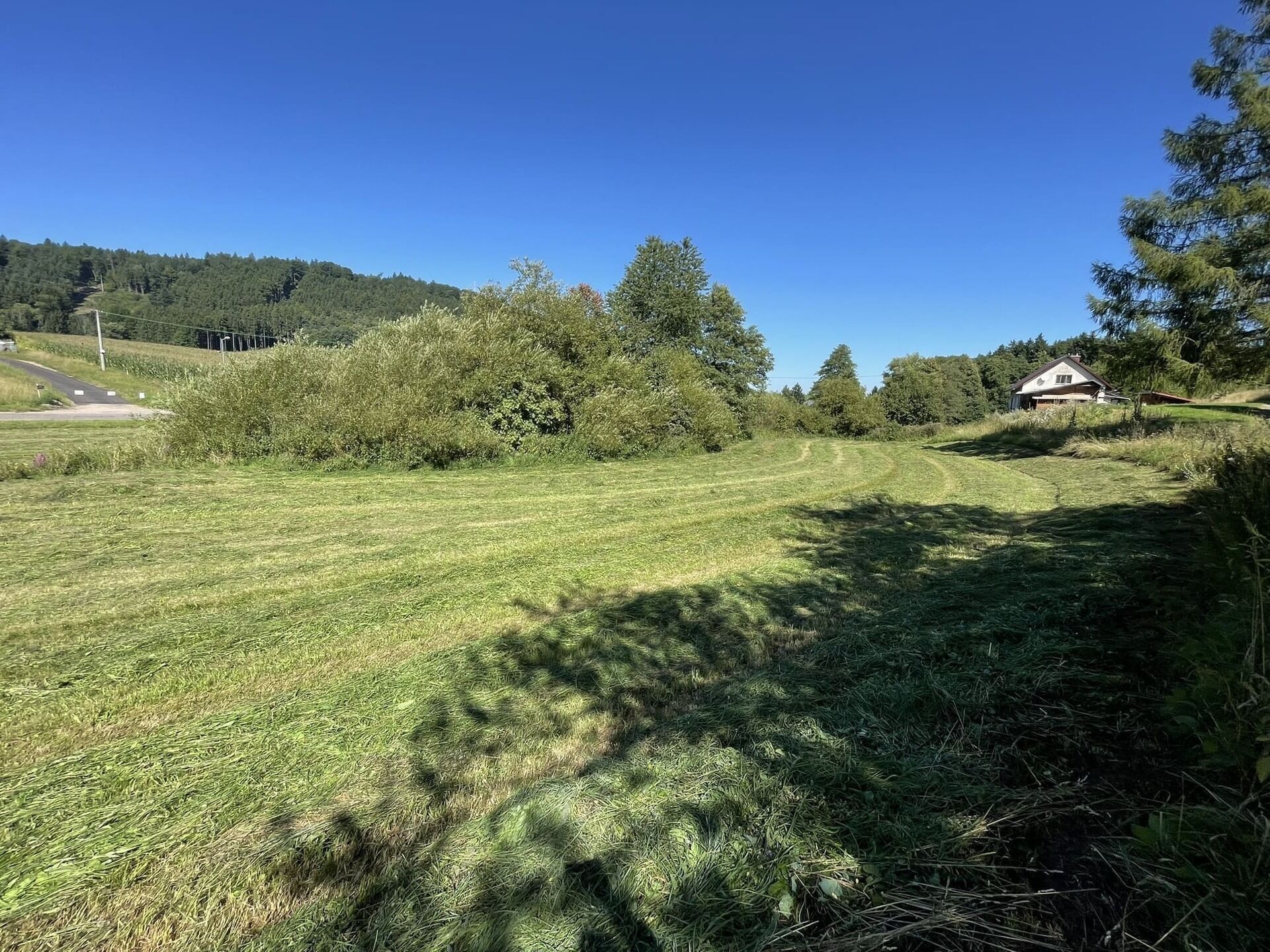 Pozemek · 6 634 m² · Dolní Dobrouč Horní Dobrouč - 3