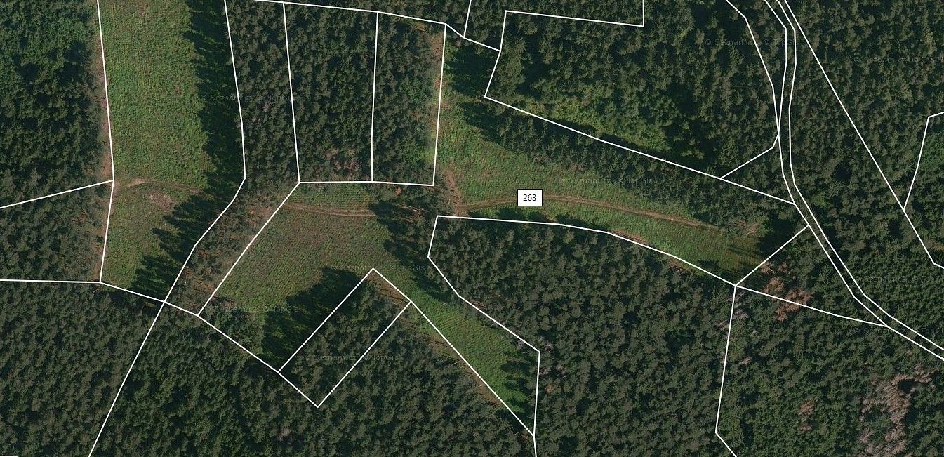 Lesy, Přechovice, okres Strakonice, Jihočeský kraj - 1