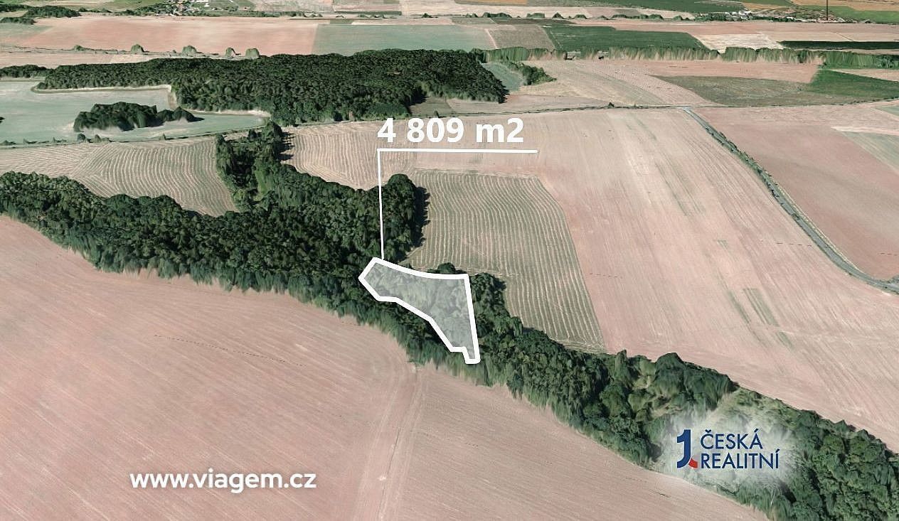 Prodej les - Pozdeň, okres Kladno, Středočeský kraj - 2