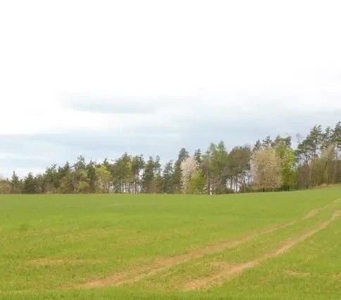 Pozemky pro bydlení, Pyšely, 251 67 - 2