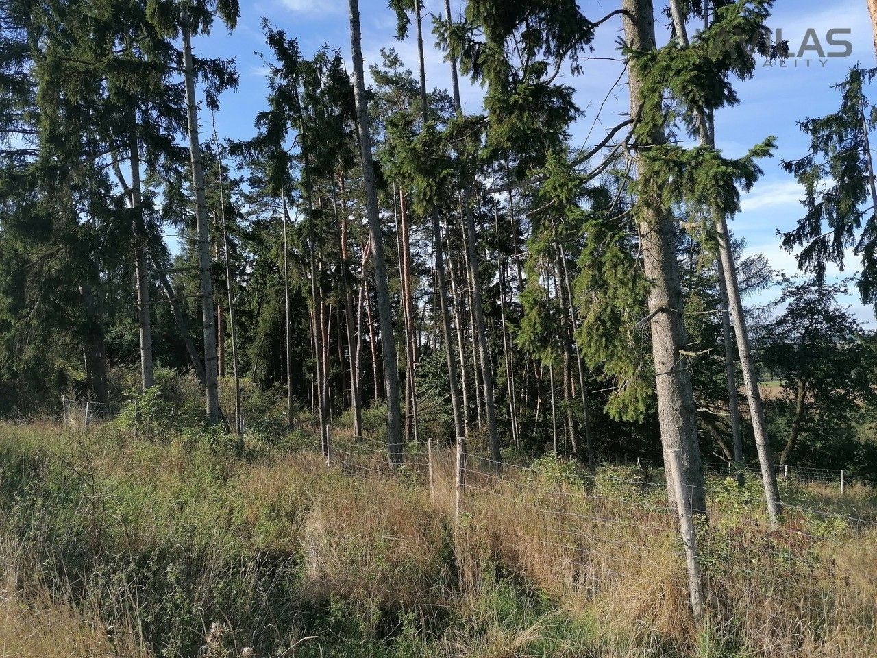 Lesy, Libouň, Zvěstov, 2 824 m²