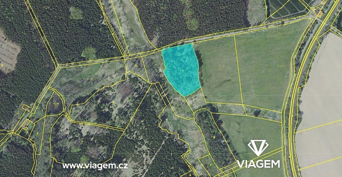 Prodej les - Nová Ves u Leštiny, okres Havlíčkův Brod, Kraj Vysočina - 1