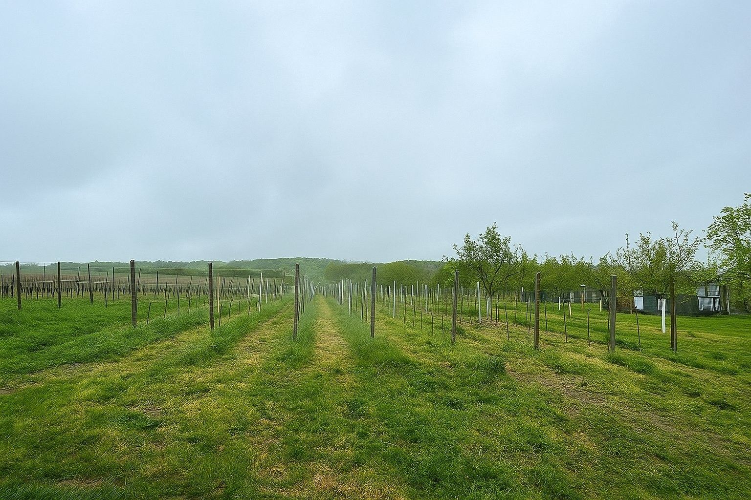 Ostatní, Blatnice pod Svatým Antonínkem