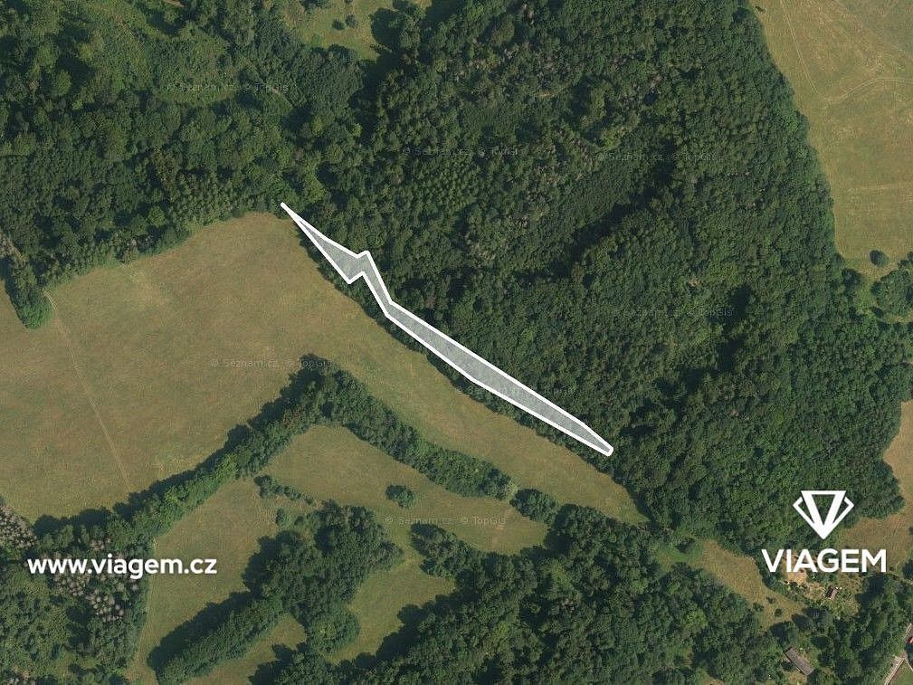 Prodej les - Česká Kamenice, okres Děčín, Ústecký kraj - 2