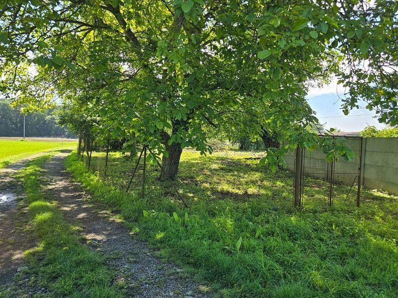 Prodej zahrada - Kroměříž, Zlínský kraj - 5