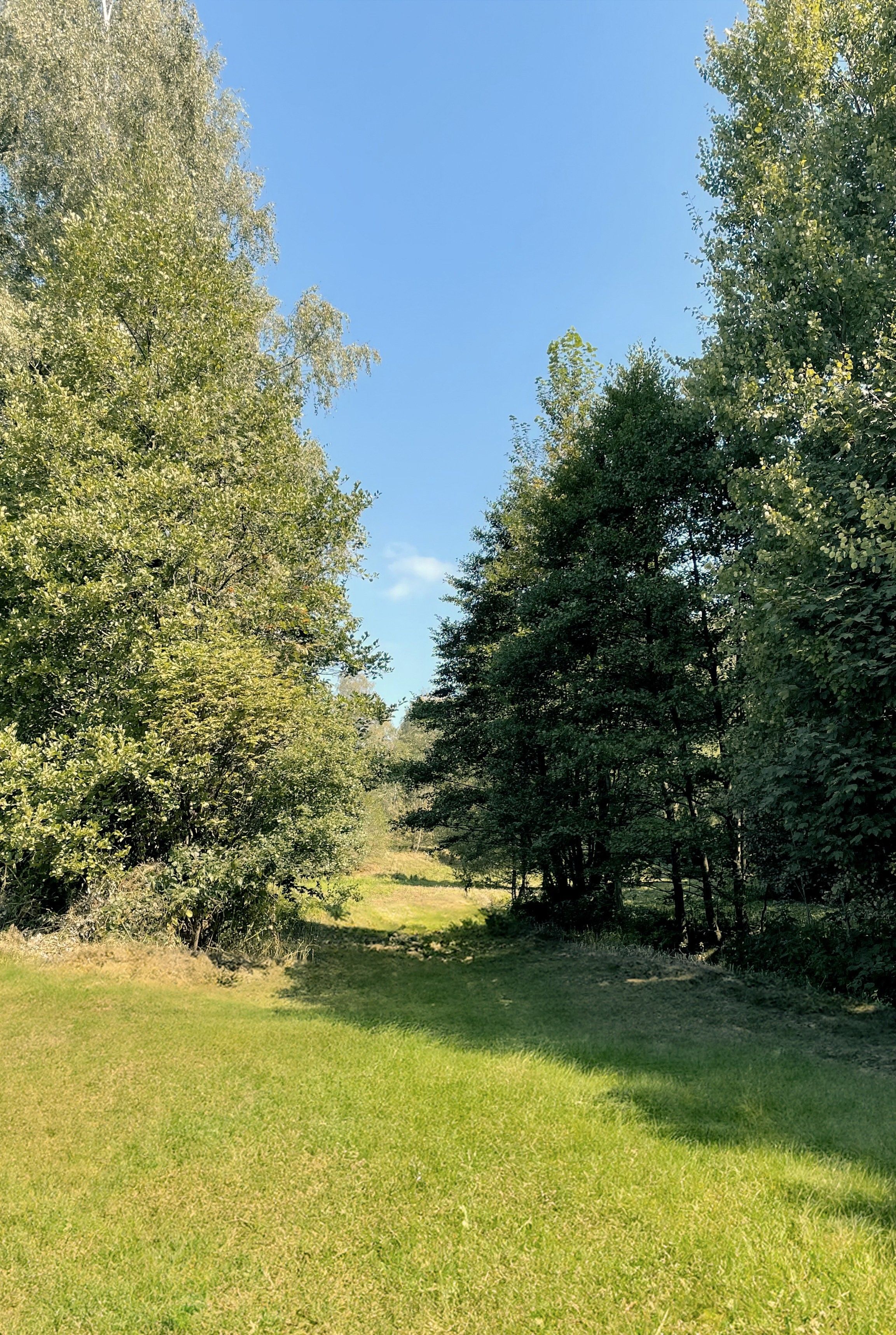 Prodej zahrada - Výprachtice, 6 838 m² - 5