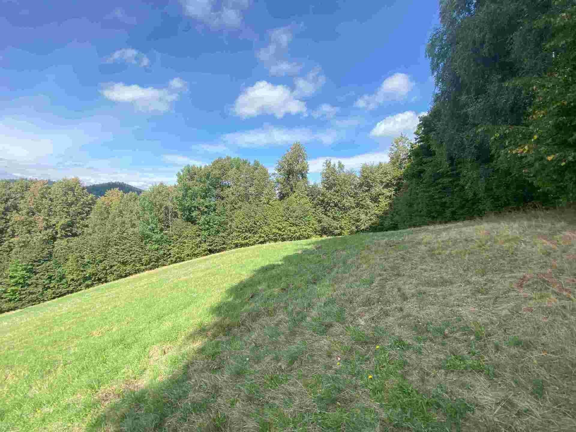 Pozemek · 10 593 m² · Sobotín - 4