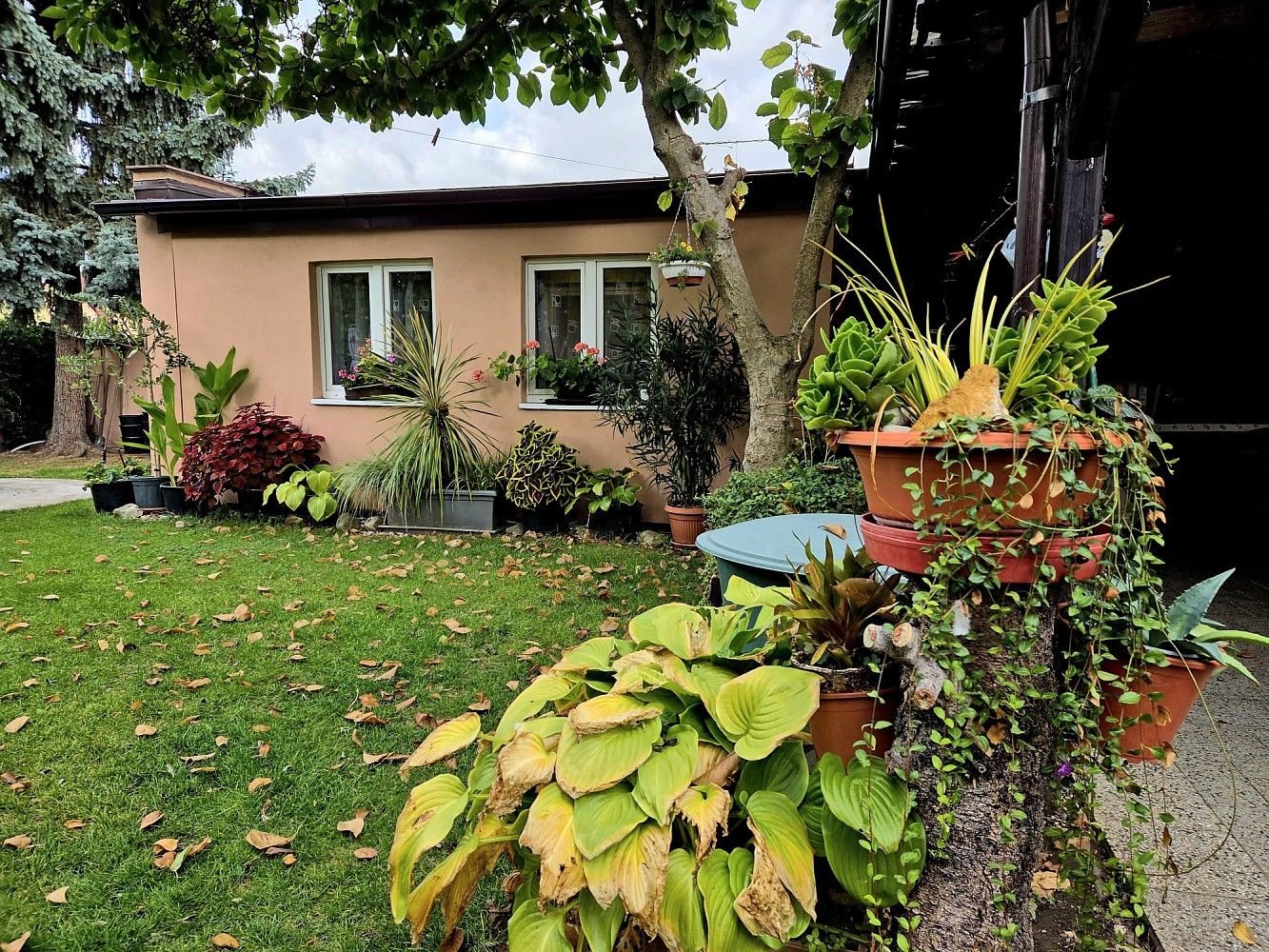 1+kk, Netřebická, Praha 9 - Satalice, 45 m² - 2