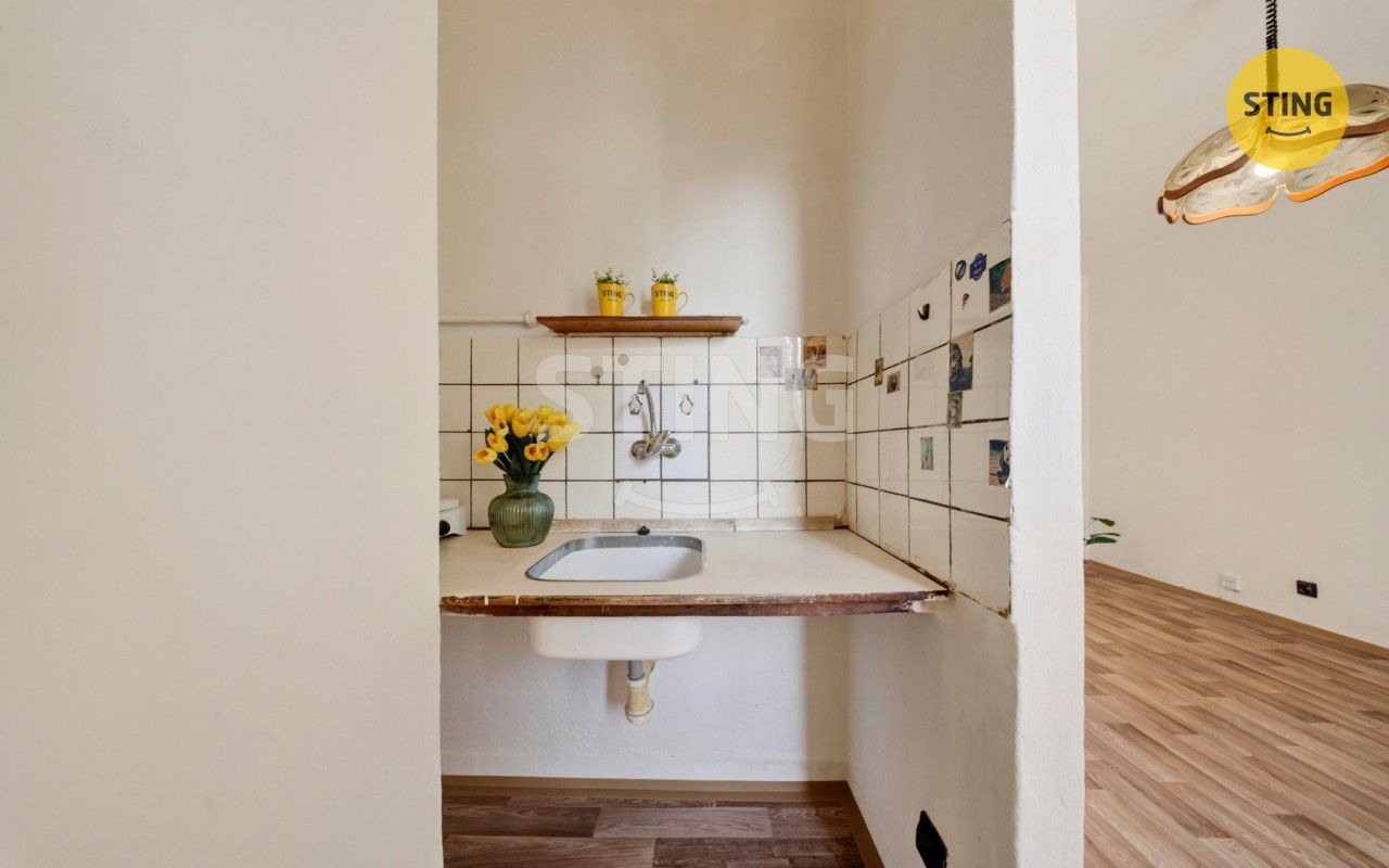 Byt 1+kk · 22 m² · Resslova, Ostrava - 4