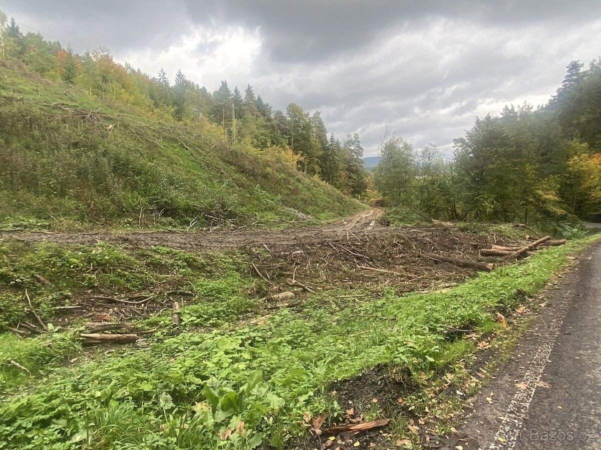 Pozemky pro bydlení, Český Dub, 463 43