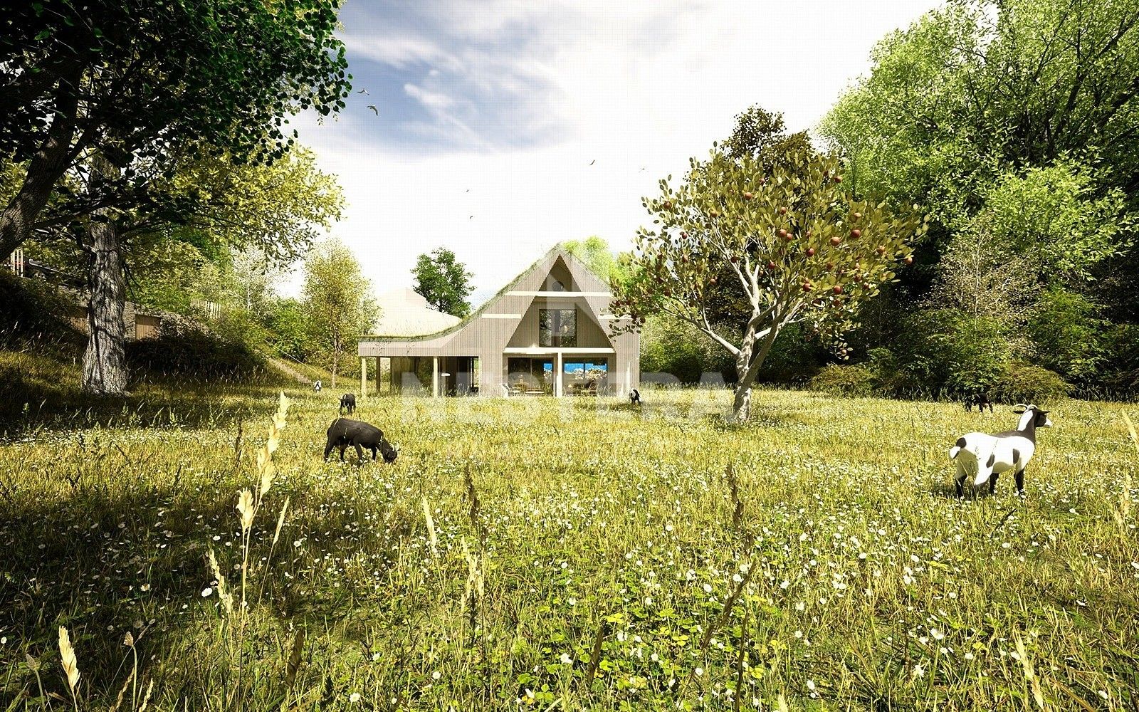 Pozemek pro bydlení, 5 321 m²