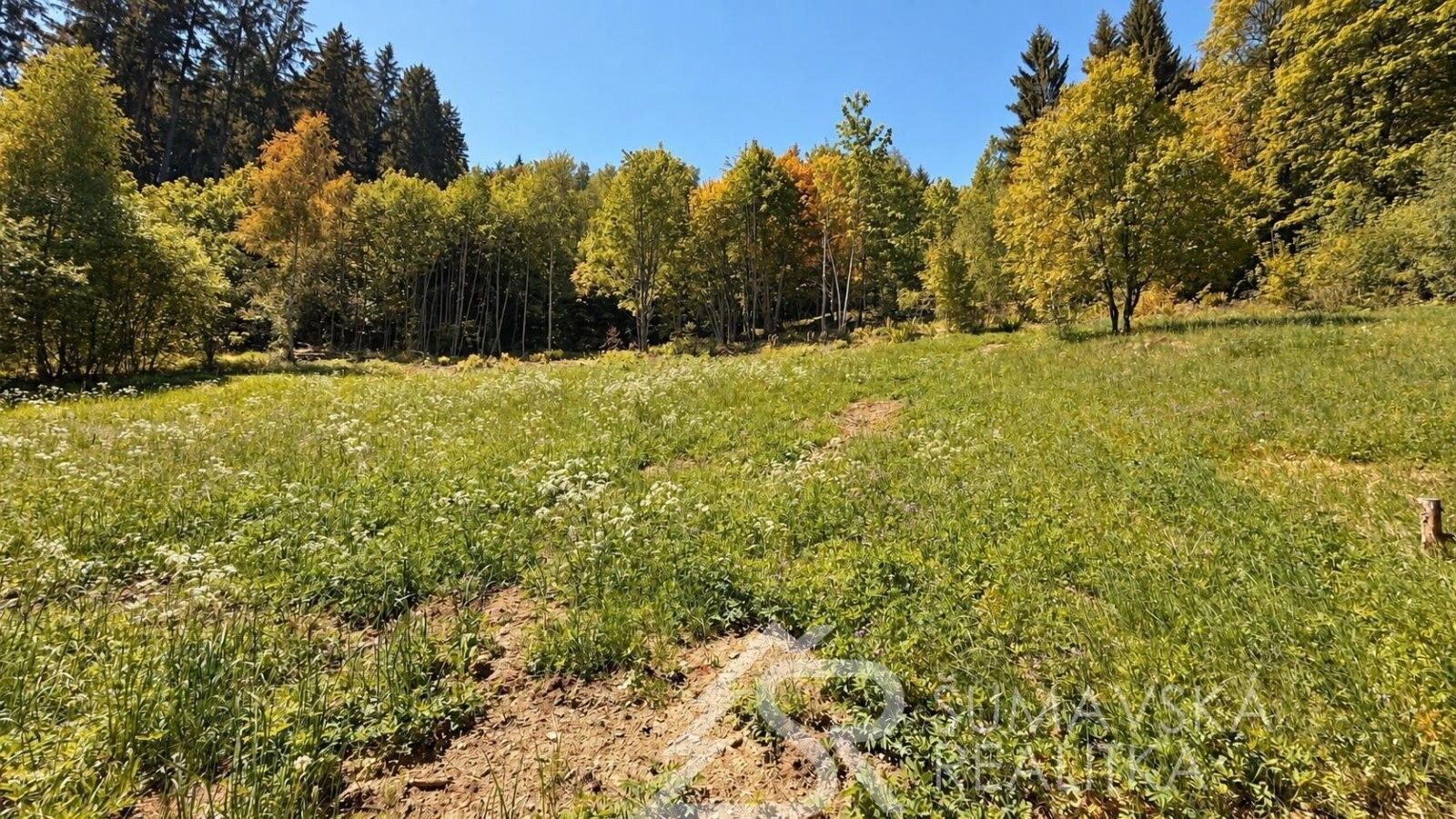 Pozemek pro bydlení · 2 979 m² · Klášterský Mlýn, Rejštejn - 3