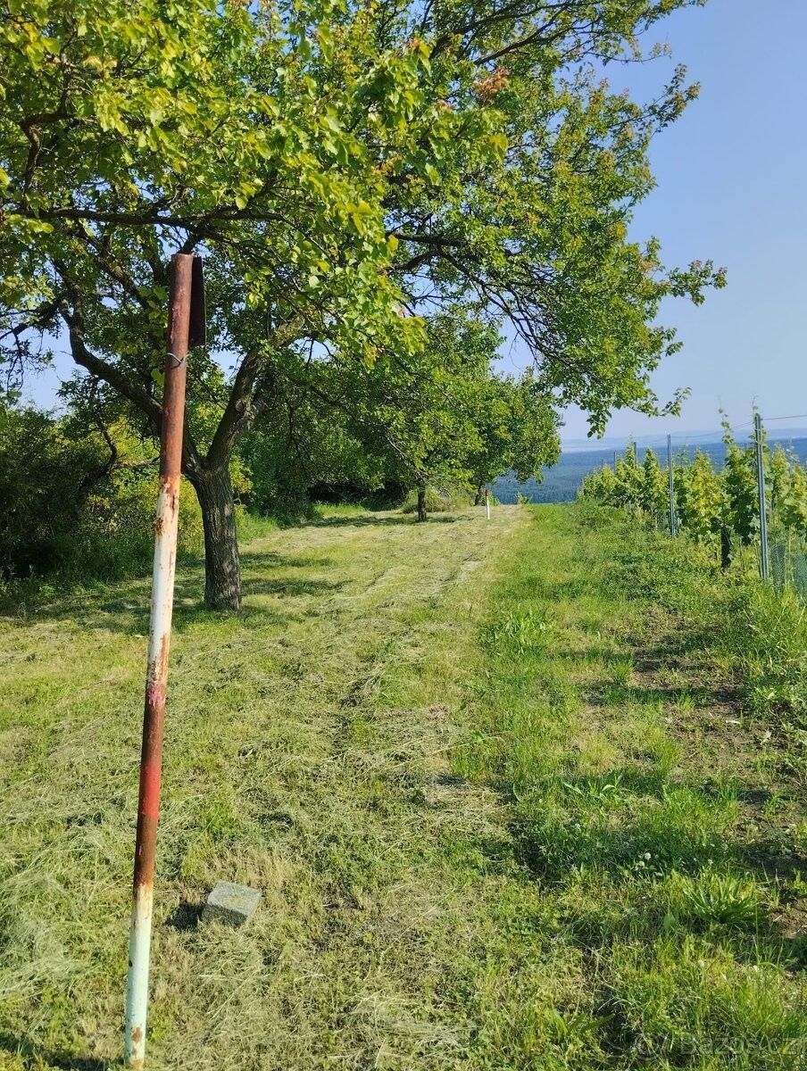 Pozemky pro bydlení, Bzenec, 696 81