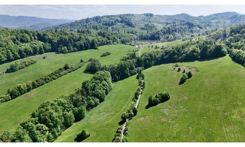 Louky, Nový Jičín - 1
