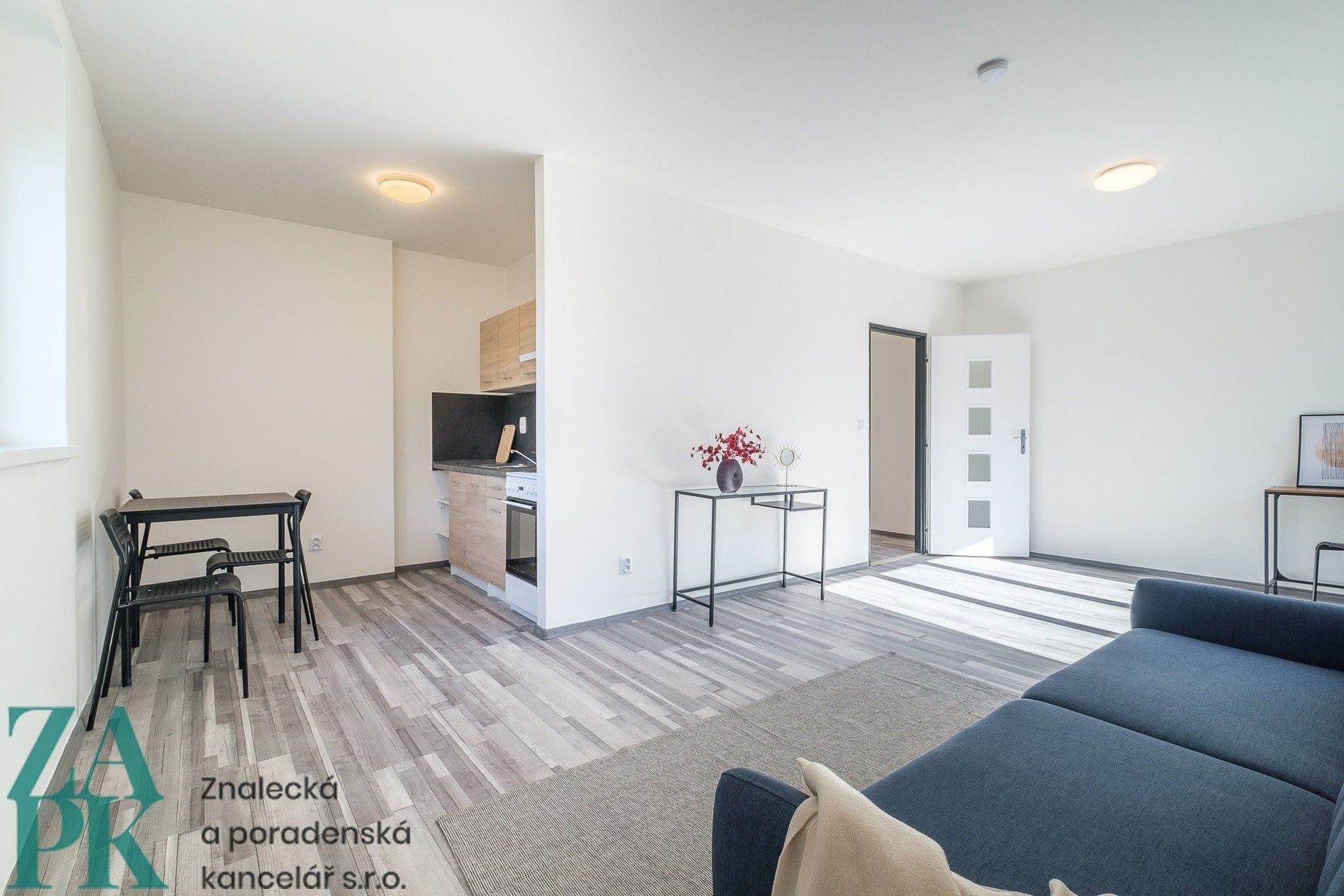 1+kk, Purkyňova, Ústí nad Labem, 34 m²