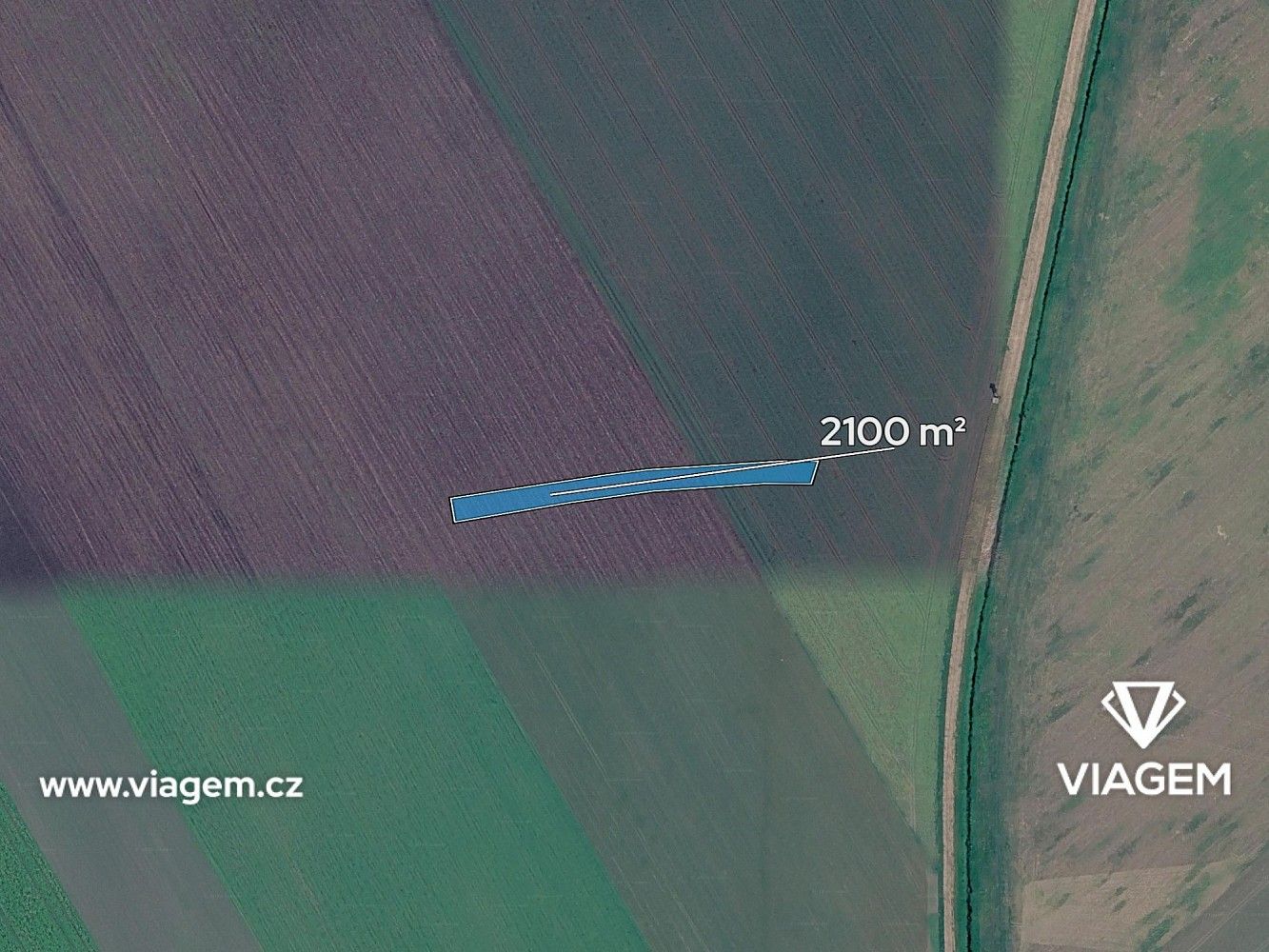 Zemědělské pozemky, Sadská, okres Nymburk - 2