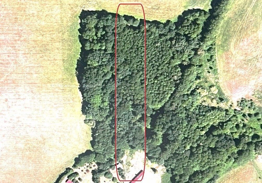 Les, 3 954 m²