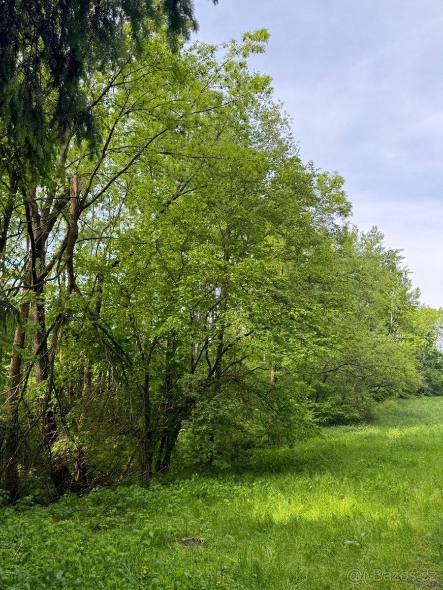 Prodej pozemek pro bydlení - Český Dub, 463 43