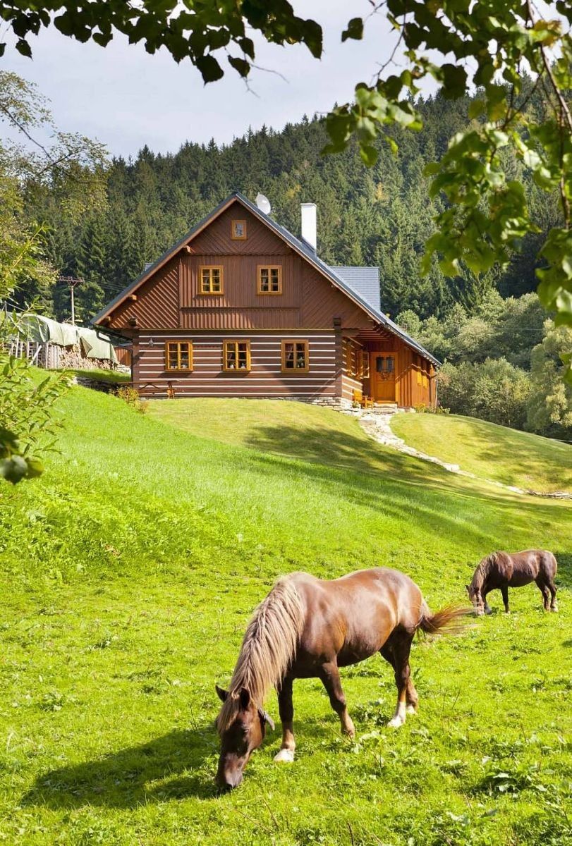 Chata · Horní Maršov - Horní Lysečiny, Královéhradecký kraj - 3