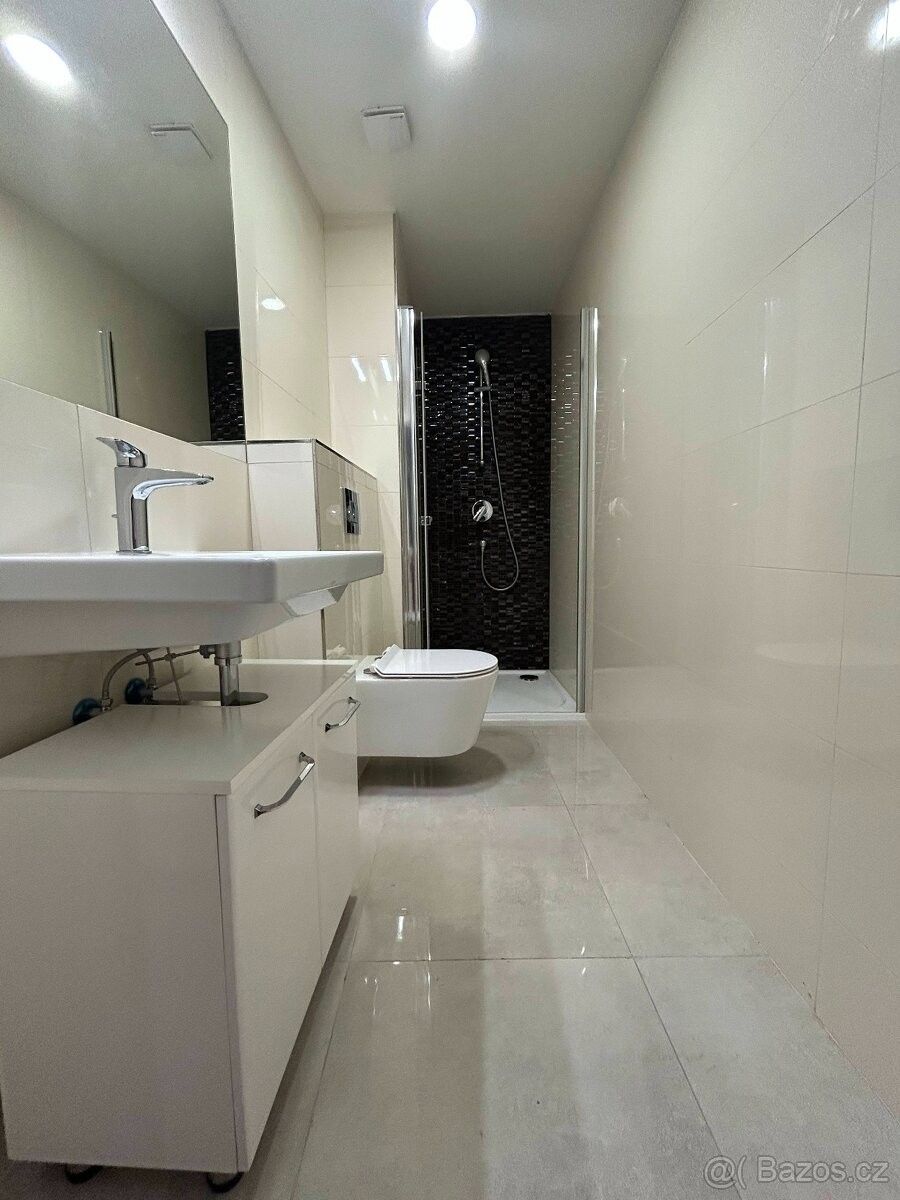 Pronájem byt - Praha, 110 00