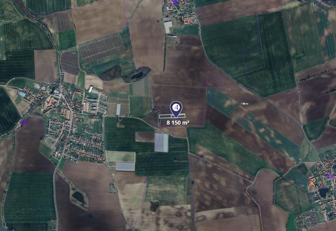 Prodej zemědělský pozemek - Černíky, 8 150 m²
