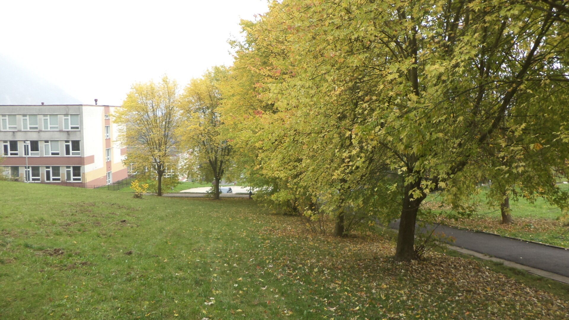 Pozemek · 450 m² · Ústí nad Labem - 4