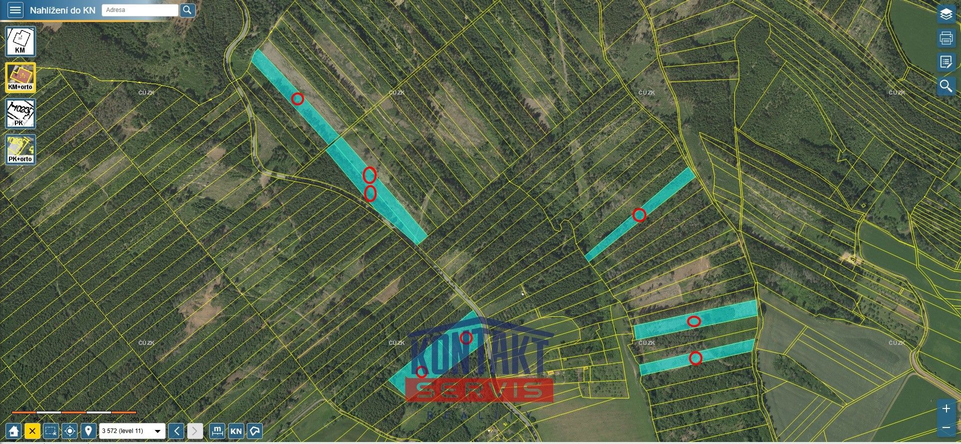 Prodej les - Jevíčko